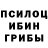 Псилоцибиновые грибы Psilocybine cubensis Baktybek Tolonbaev