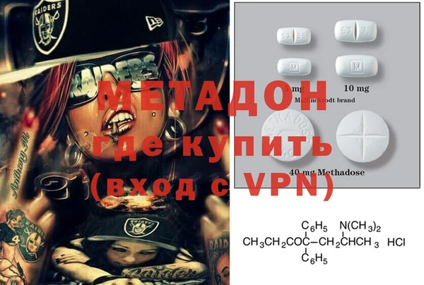 шишки Новозыбков