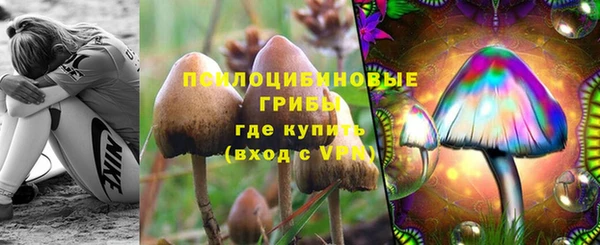 круглые Алзамай