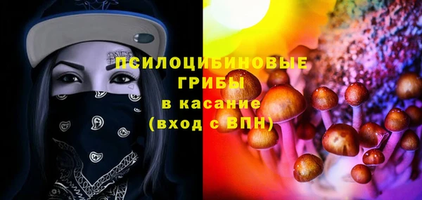 круглые Алзамай