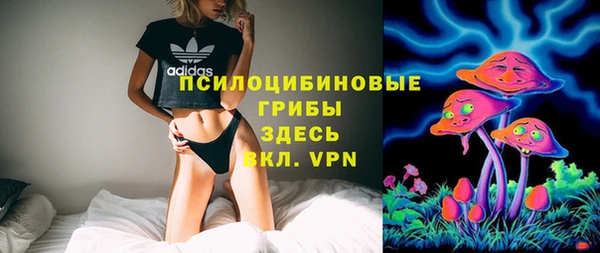 круглые Алзамай