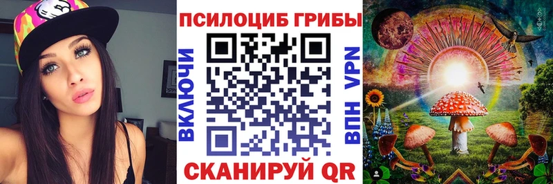 продажа наркотиков  MEGA ССЫЛКА  Псилоцибиновые грибы мухоморы  Сосенский 